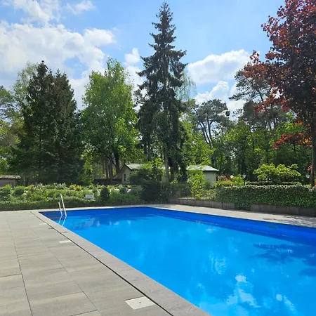 Chalet Boshuis De Boompjes Doornspijk