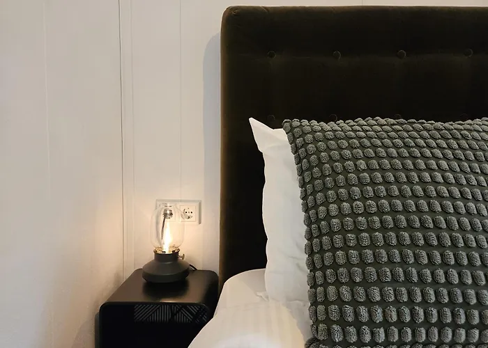 Chalet Boshuis De Boompjes *