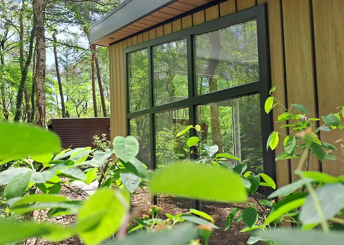 Boshuis De Boompjes 木屋 *